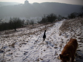 2010-01-13/DSCI5402.JPG
