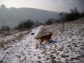 2010-01-13/DSCI5403.JPG