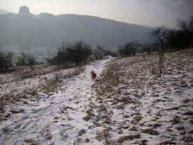 2010-01-13/DSCI5404.JPG