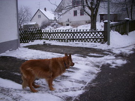 2010-01-13/DSCI5406.JPG