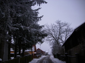 2010-01-13/DSCI5408.JPG