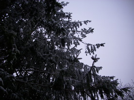 2010-01-13/DSCI5409.JPG