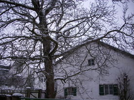2010-01-13/DSCI5410.JPG