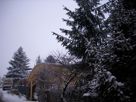 2010-01-13/DSCI5411.JPG