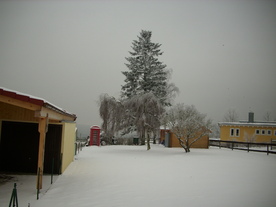 2010-01-13/DSCI5412.JPG