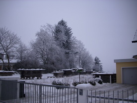 2010-01-13/DSCI5414.JPG