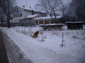 2010-01-13/DSCI5415.JPG