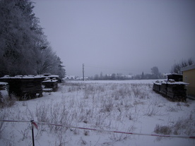 2010-01-13/DSCI5416.JPG