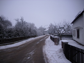 2010-01-13/DSCI5419.JPG