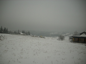 2010-01-13/DSCI5422.JPG