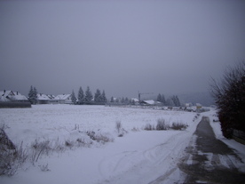 2010-01-13/DSCI5424.JPG