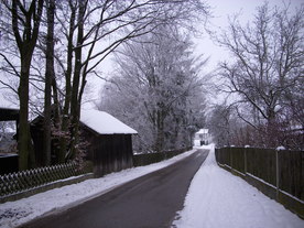 2010-01-13/DSCI5425.JPG