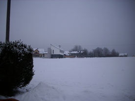 2010-01-13/DSCI5428.JPG