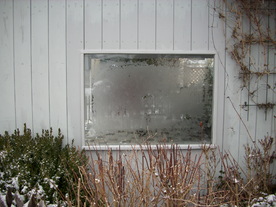 2010-01-13/DSCI5431.JPG