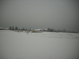 2010-01-13/DSCI5435.JPG