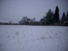 2010-01-13/DSCI5436.JPG