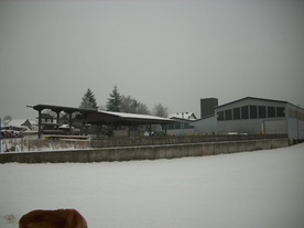 2010-01-13/DSCI5437.JPG