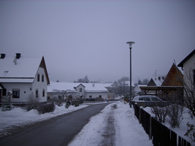 2010-01-13/DSCI5438.JPG