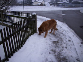 2010-01-13/DSCI5440.JPG