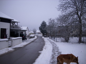 2010-01-13/DSCI5444.JPG