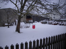 2010-01-13/DSCI5453.JPG