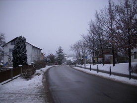 2010-01-13/DSCI5461.JPG