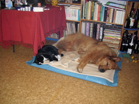 2010-01-13/DSCI5462.JPG
