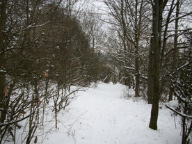2010-01-15/DSCI5470.JPG