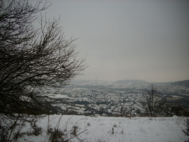 2010-01-15/DSCI5471.JPG