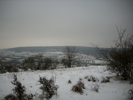 2010-01-15/DSCI5472.JPG