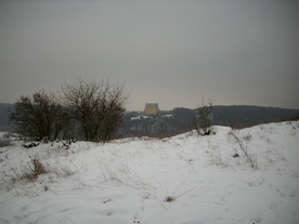 2010-01-15/DSCI5473.JPG