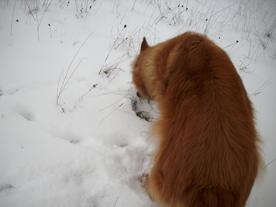 2010-01-15/DSCI5477.JPG