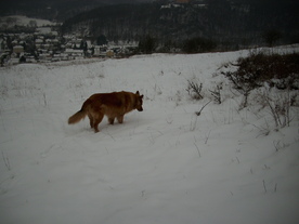 2010-01-15/DSCI5479.JPG