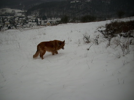 2010-01-15/DSCI5480.JPG