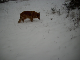2010-01-15/DSCI5481.JPG