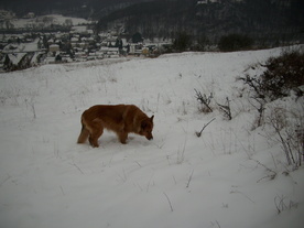 2010-01-15/DSCI5483.JPG