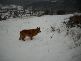 2010-01-15/DSCI5484.JPG