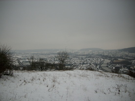 2010-01-15/DSCI5485.JPG