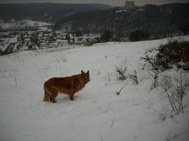 2010-01-15/DSCI5489.JPG