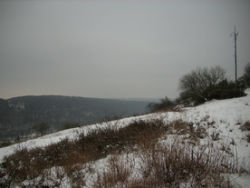 2010-01-15/DSCI5490.JPG