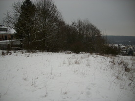 2010-01-15/DSCI5491.JPG