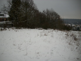 2010-01-15/DSCI5492.JPG