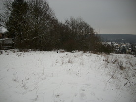 2010-01-15/DSCI5493.JPG