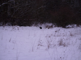 2010-01-15/DSCI5494.JPG