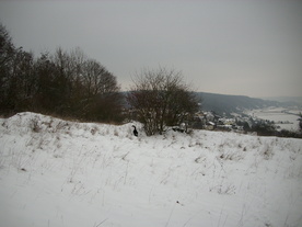 2010-01-15/DSCI5499.JPG