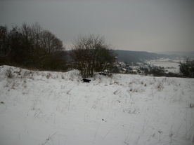 2010-01-15/DSCI5500.JPG