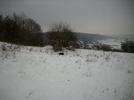 2010-01-15/DSCI5501.JPG