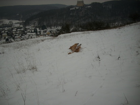 2010-01-15/DSCI5502.JPG