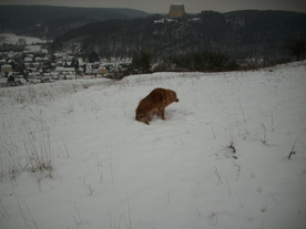 2010-01-15/DSCI5503.JPG