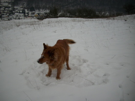 2010-01-15/DSCI5504.JPG